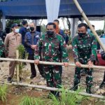 Program Sereh Wangi