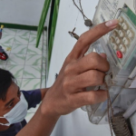 tarif listrik