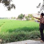 Ciayumajakuning.id