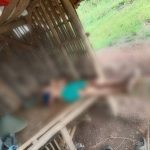 Ciayumajakuning.id