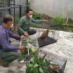 Ciayumajakuning.id