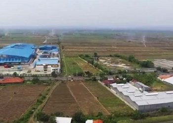 Petani Cirebon yang Area Sawahnya Rawan Banjir Diimbau Ikut Asuransi