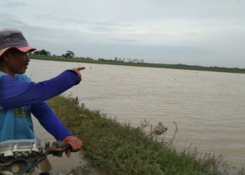 Petani Cirebon yang Area Sawahnya Rawan Banjir Diimbau Ikut Asuransi