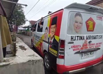 Tina Wiryawati