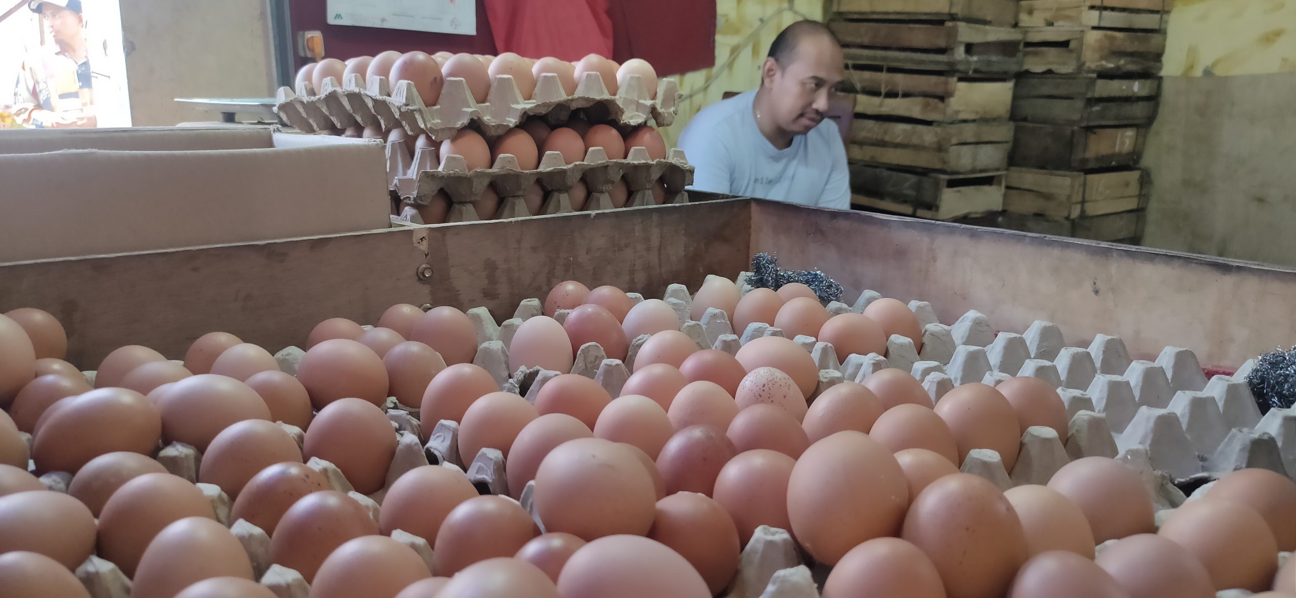 Pedagang telur mengeluh kenaikan harga