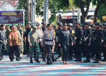 Kabupaten Cirebon Primadona Bawang Merah di Jabar, Gebang dan Losari Sentranya
