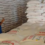 Petugas gudang pupuk subsidi di Cirebon sedang memantau kesediaan