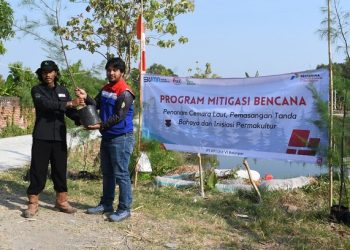 Pertamina Balongan Tanam 1000 Cemara Laut di Pesisir Pantai Indramayu