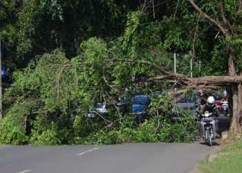 Angin Kencang di Ciayumajakuning Berpotensi Bakal Terus Berlangsung, Ini Penyebabnya