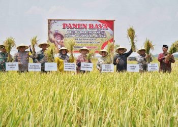 Kementan RI: Varietas Padi Lokal DNA Milik Indramayu Punya Banyak Keunggulan