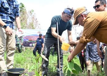 Pemkab Kuningan Tanam Pohon Bersama di Lahan Bekas Karhutla Kawasan TNGC