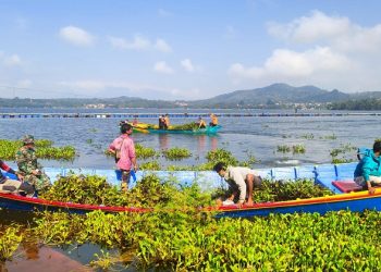 Upaya Pemkab Kuningan Bersihkan Eceng Gondok di Waduk Darma