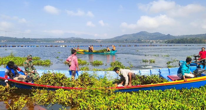 Upaya Pemkab Kuningan Bersihkan Eceng Gondok di Waduk Darma