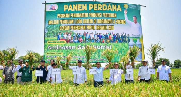 Indramayu Gelar Panen Perdana Pertanian Organik Seluas 1.000 Hektare