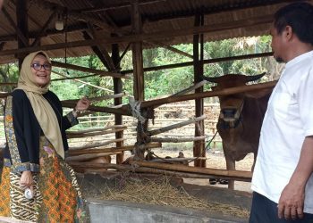 Eti Herawati Dorong Potensi Peternakan di Argasunya untuk Kesejahteraan Warga