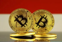 Pasar Kripto Global Melemah, Indonesia Tetap Tunjukkan Ketahanan Investor