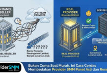 Hati-Hati Terkecoh Harga Murah, Begini Cara Cek Apakah Anda Beli Jasa Sosmed di Tangan Pertama