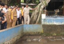 Desa Belawa Cirebon Enam Besar Galeri Pelangi PKK Jabar 2025