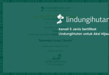 LindungiHutan Hadirkan 5 Jenis Sertifikat Digital sebagai Bukti Kontribusi Nyata Aksi Konservasi