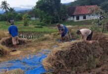 Kuningan Sukses Perbaiki Peringkat Kemiskinan di Jabar