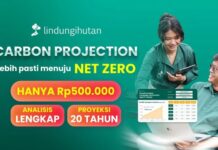 LindungiHutan Luncurkan “Carbon Projection”, Fitur Perhitungan Serapan Karbon Jangka Panjang