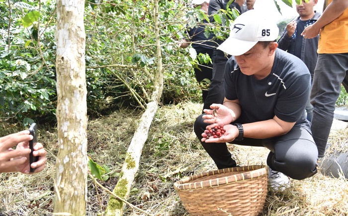 Kopi Kuningan Siap Mendunia di Ajang World of Coffee Asia 2026