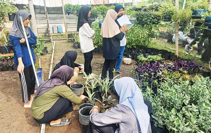 BPS: Penduduk Kabupaten Cirebon Didominasi Usia Produktif