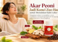 Akar Peoni Jadi Kunci Zuo Hao Shi untuk Meredakan Sakit Leher Belakang