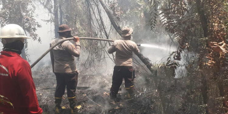 PTPN Group bersama Satgas Karhutla Kolaborasi Atasi Karhutla